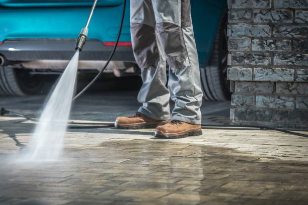 Best Animal Enclosure Cleaning  in Georgetown, CO
